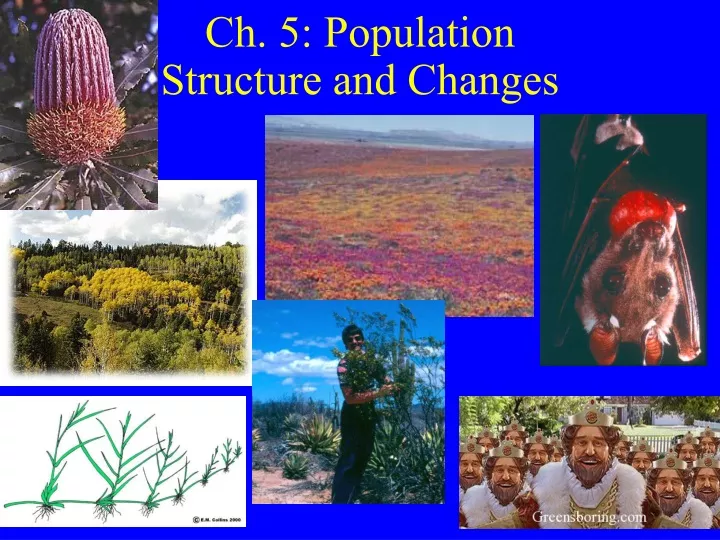 ch 5 population structure and changes