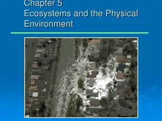Chapter 5 Ecosystems and the Physical Environment