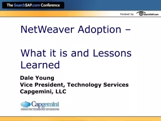 NetWeaver Adoption –  What it is and Lessons Learned