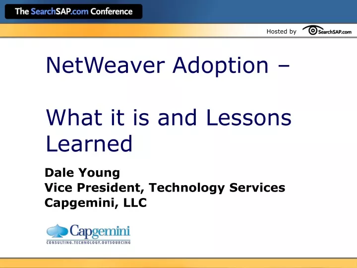 netweaver adoption what it is and lessons learned