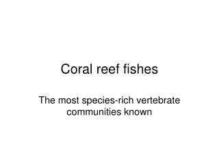 Coral reef fishes