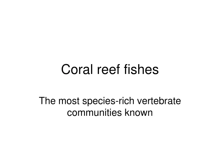 coral reef fishes