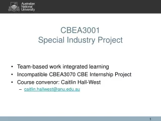 CBEA3001  Special Industry Project