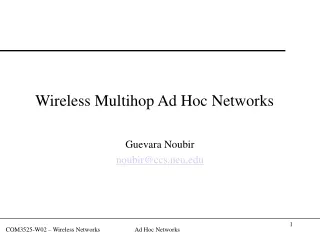 Wireless Multihop Ad Hoc Networks