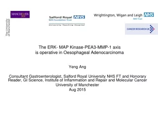 The ERK- MAP Kinase-PEA3-MMP-1 axis  is operative in Oesophageal Adenocarcinoma