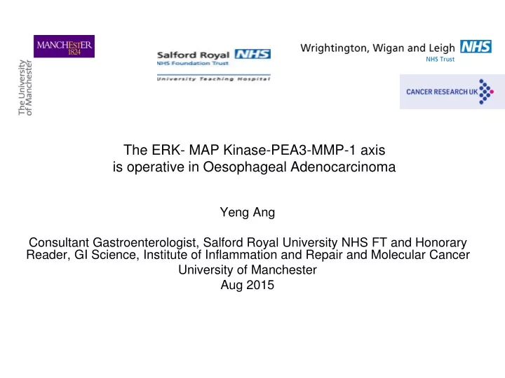 the erk map kinase pea3 mmp 1 axis is operative in oesophageal adenocarcinoma
