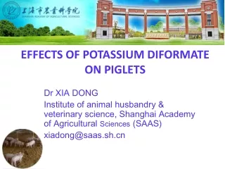 EFFECTS OF POTASSIUM DIFORMATE ON PIGLETS