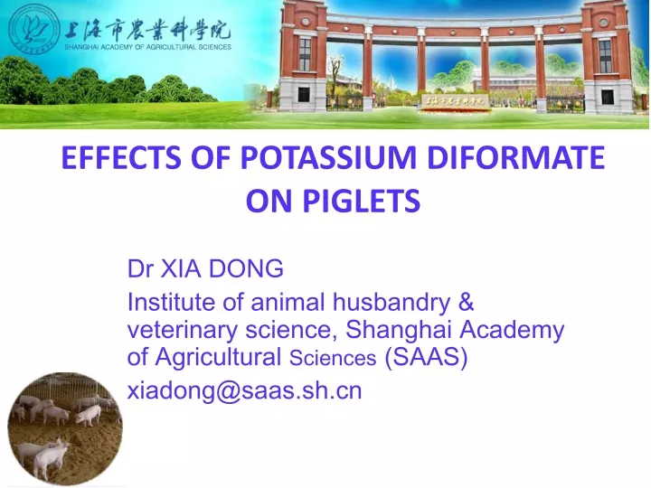 effects of potassium diformate on piglets