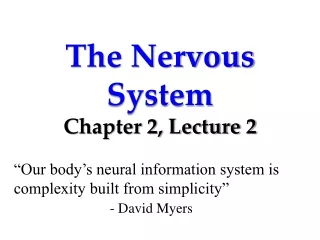 The Nervous System Chapter 2, Lecture 2