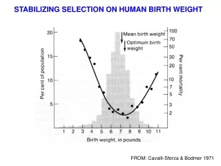 STABILIZING SELECTION ON HUMAN BIRTH WEIGHT
