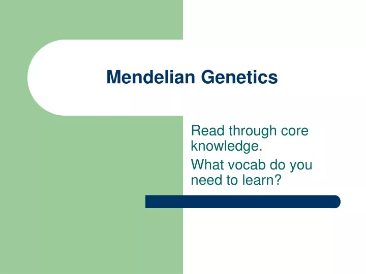 mendelian genetics