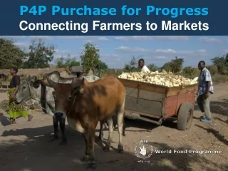 P4P Purchase for Progress  Connecting Farmers to Markets