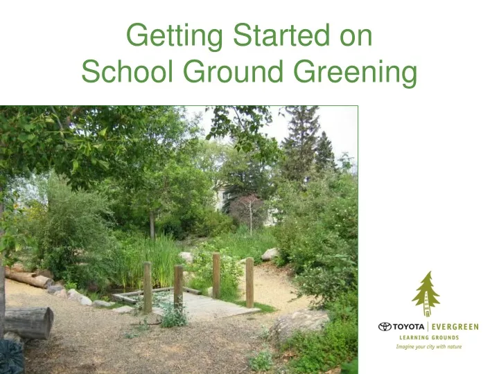 getting started on school ground greening