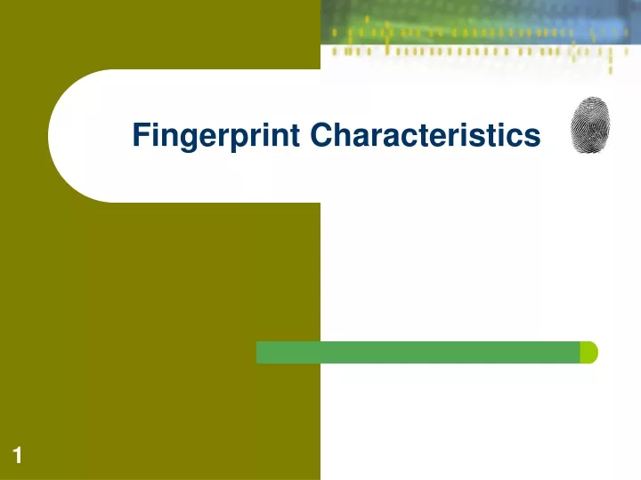 fingerprint characteristics