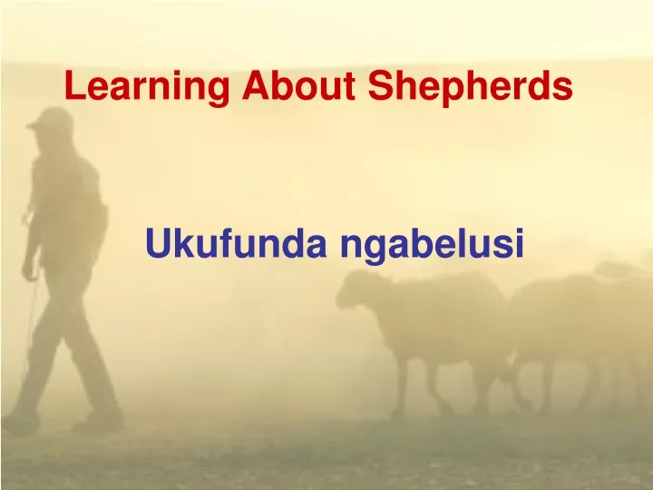 learning about shepherds
