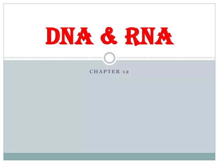 dna rna