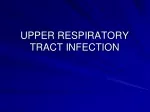 PPT - Upper respiratory tract infection in pediatrics PowerPoint ...