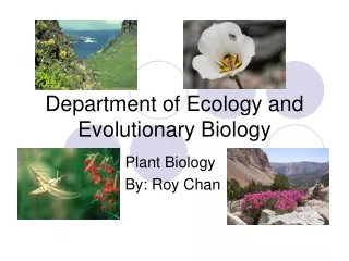 Department of Ecology and Evolutionary Biology