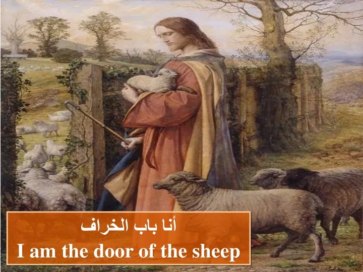 i am the door of the sheep