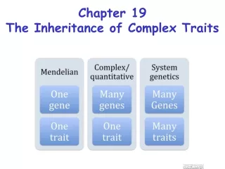 Chapter 19 The Inheritance of Complex Traits