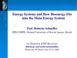 Energy Systems and How Bioenergy Fits into the Main Energy System Prof. Roberto Schaeffer