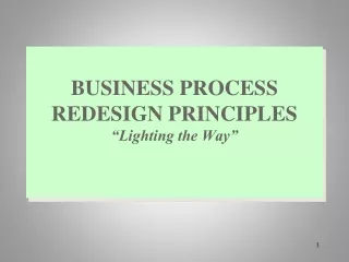 BUSINESS PROCESS REDESIGN PRINCIPLES “Lighting the Way”