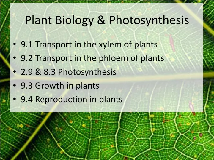 plant biology photosynthesis