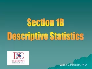 Section 1B Descriptive Statistics
