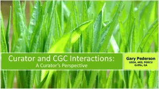Curator  and CGC Interactions: