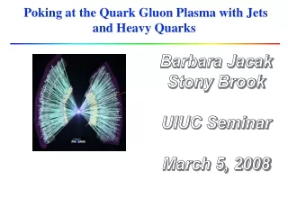 Poking at the Quark Gluon Plasma with Jets and Heavy Quarks