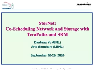 StorNet:  Co-Scheduling Network and Storage with TeraPaths and SRM Dantong Yu (BNL)