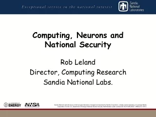 Computing, Neurons and  National Security