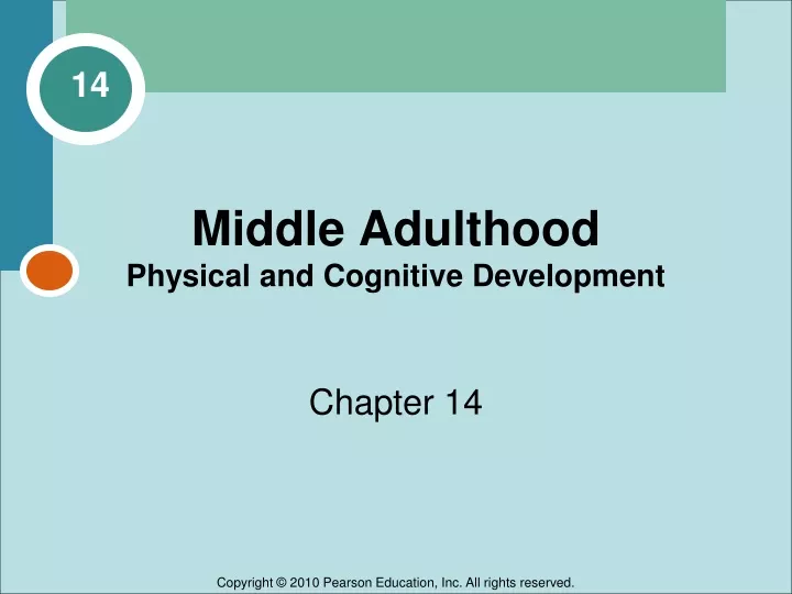 middle adulthood physical and cognitive development
