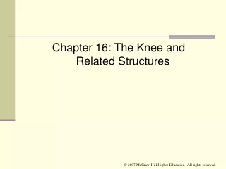 Chapter 16: The Knee and  Related Structures