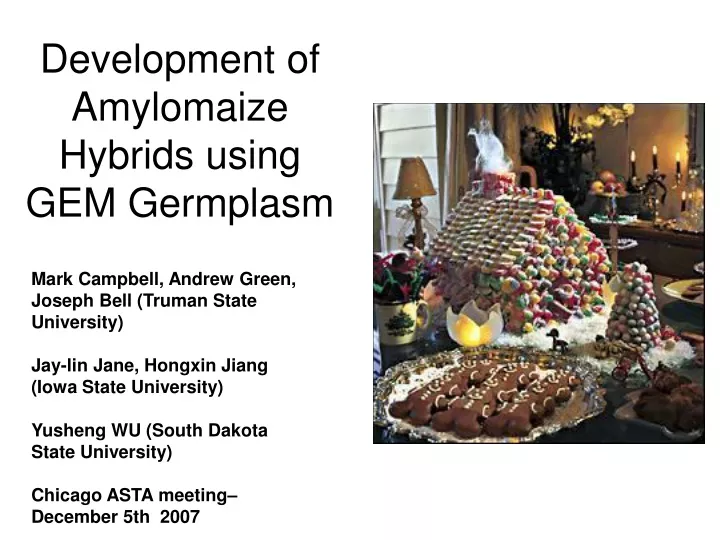 development of amylomaize hybrids using gem germplasm