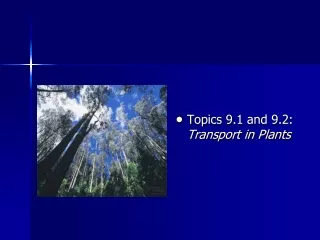 Topics 9.1 and 9.2:  Transport in Plants