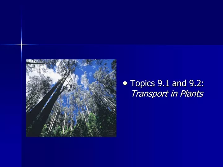 topics 9 1 and 9 2 transport in plants