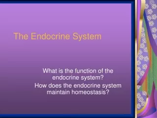 The Endocrine System