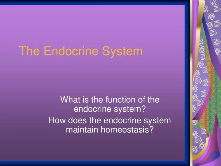 the endocrine system