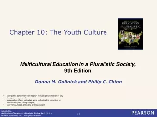 Chapter 10: The Youth Culture