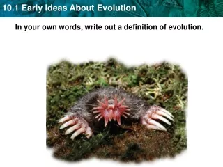 In your own words, write out a definition of evolution.