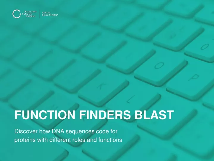 function finders blast