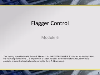 Flagger Control