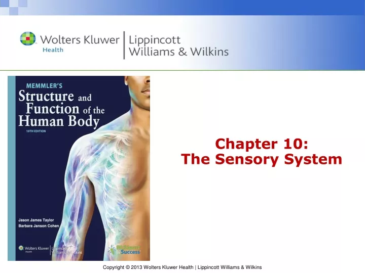 chapter 10 the sensory system