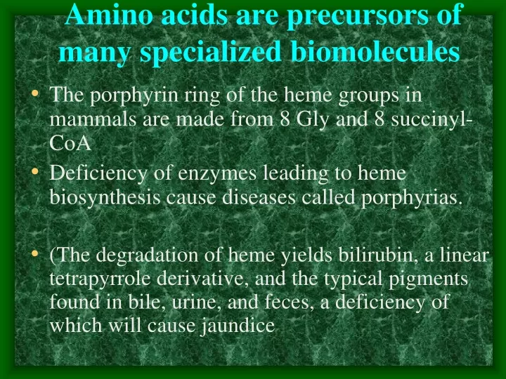 amino acids are precursors of many specialized biomolecules