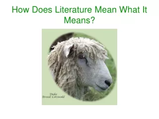 How Does Literature Mean What It Means?