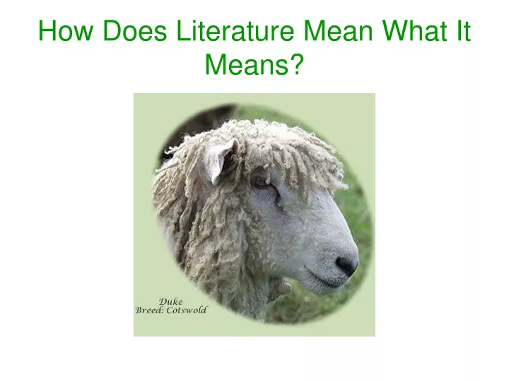 how does literature mean what it means