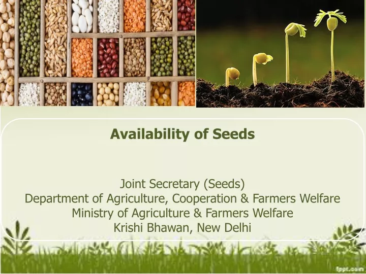 availability of seeds joint secretary seeds