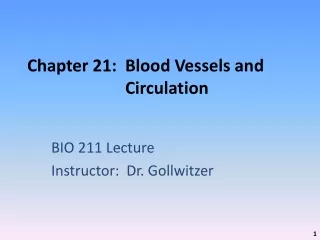 Chapter 21:  Blood Vessels and Circulation