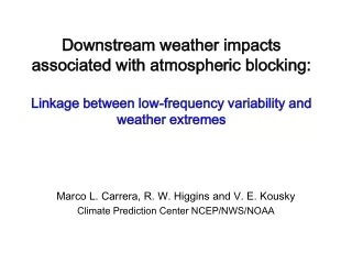 Marco L. Carrera, R. W. Higgins and V. E. Kousky Climate Prediction Center NCEP/NWS/NOAA